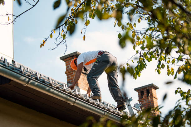 Trusted Glenwood, GA Roofing Service Experts